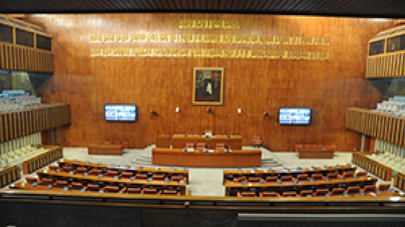 Pakistan Christian News image of Major Senate Move: Resolution Passed for National Coordination Committee on Minority Right